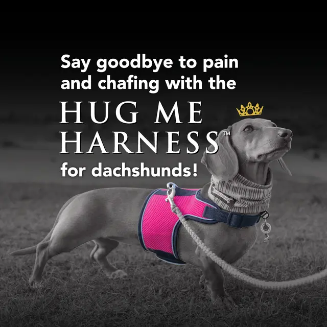 2RoyalHounds
