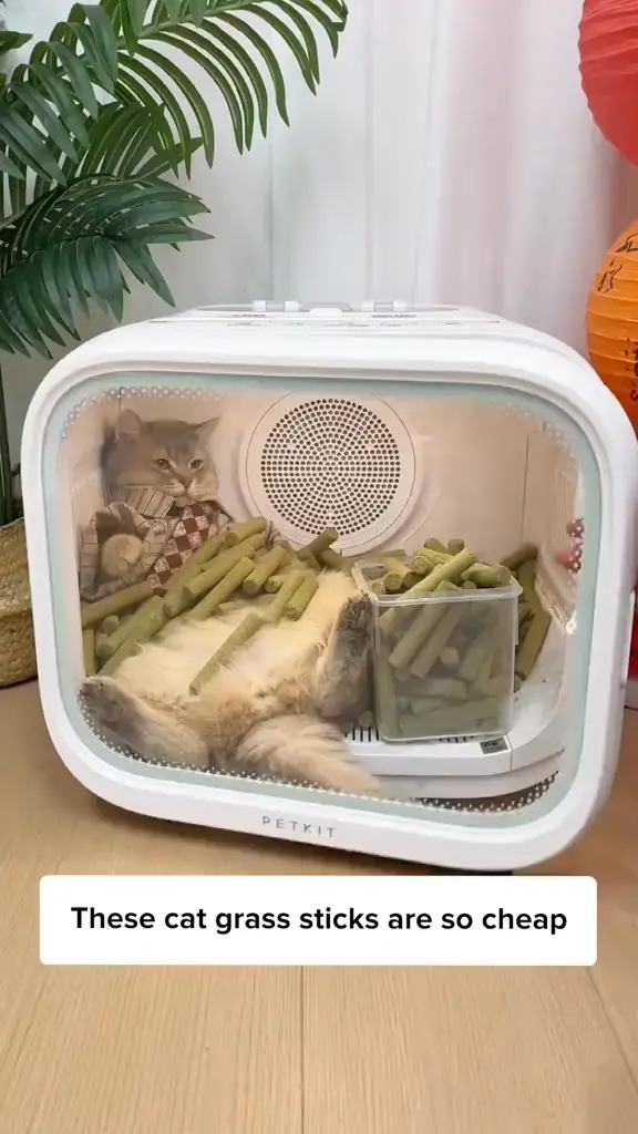 PurrPop