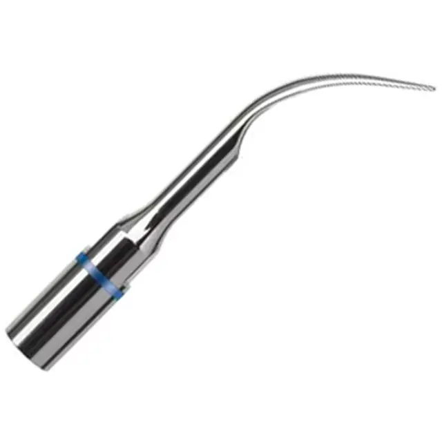 Dental Finds