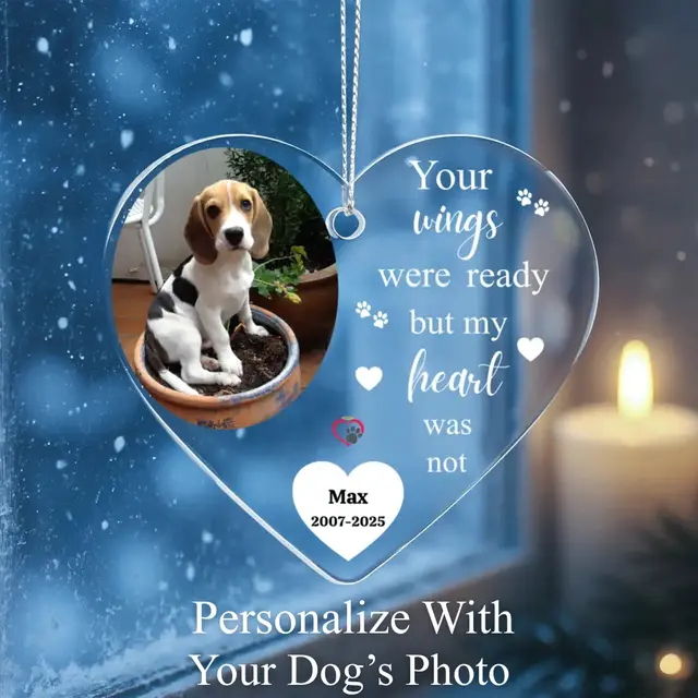 Missing My Dog In Heaven