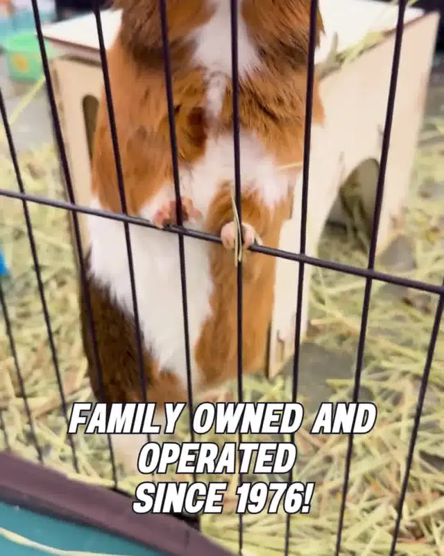 Agri Feed Pet Supply