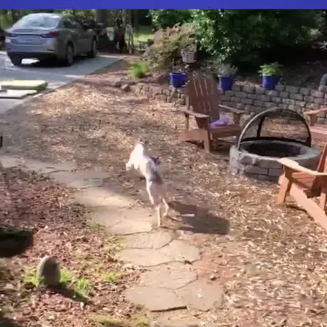Tearrible Instincts