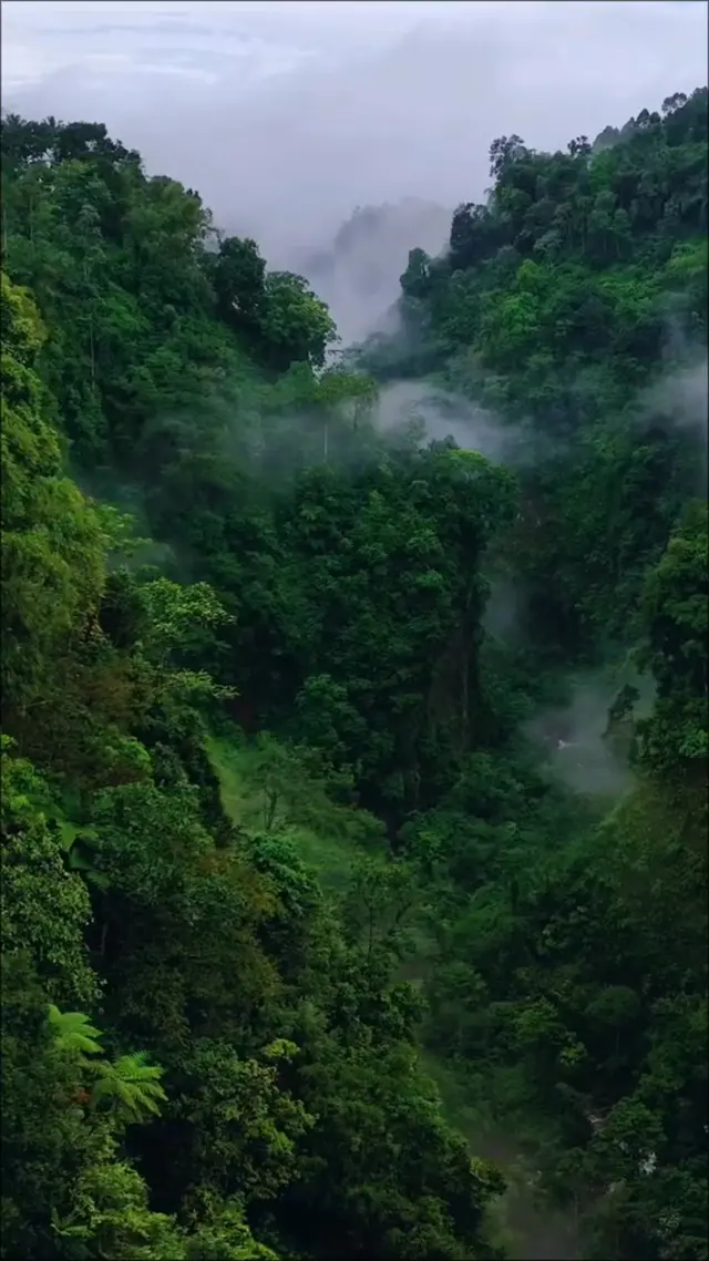 PeakResurgence