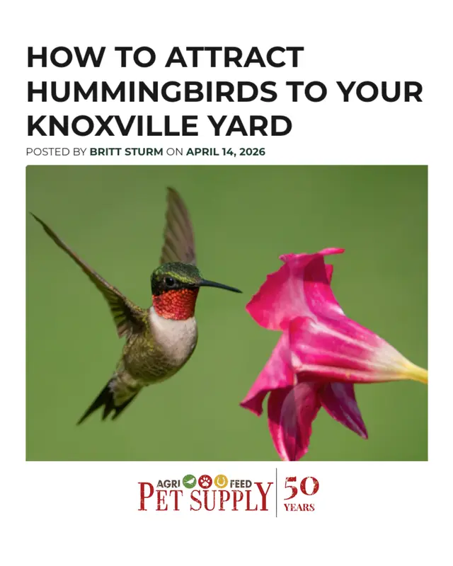 Agri Feed Pet Supply