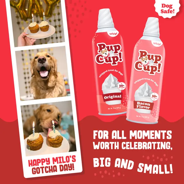 Pup Cup