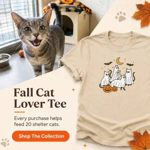 iHeartCats.com
