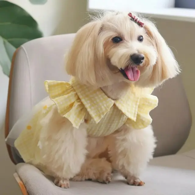 Dog Harness - No Pull