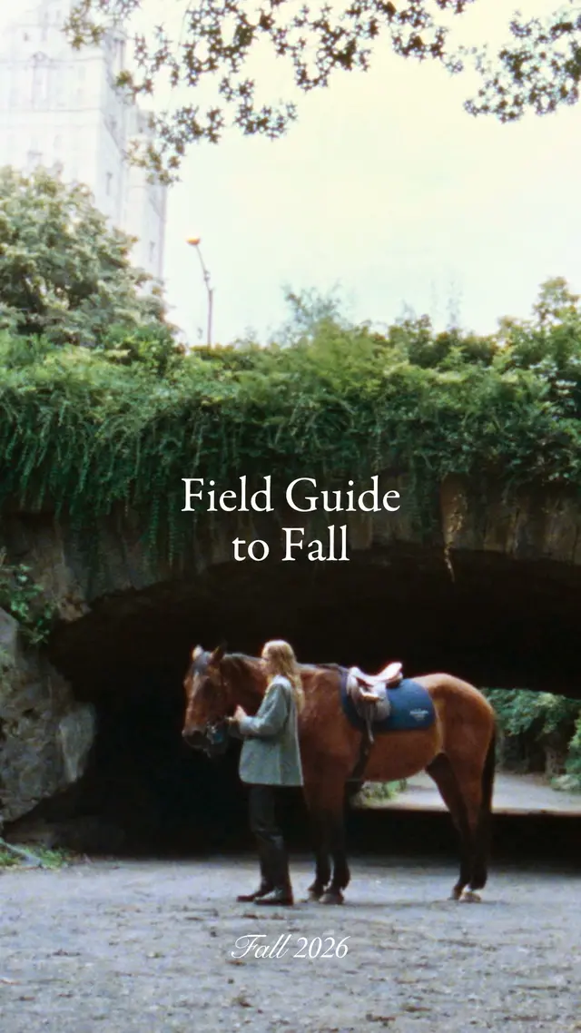 Abercrombie & Fitch
