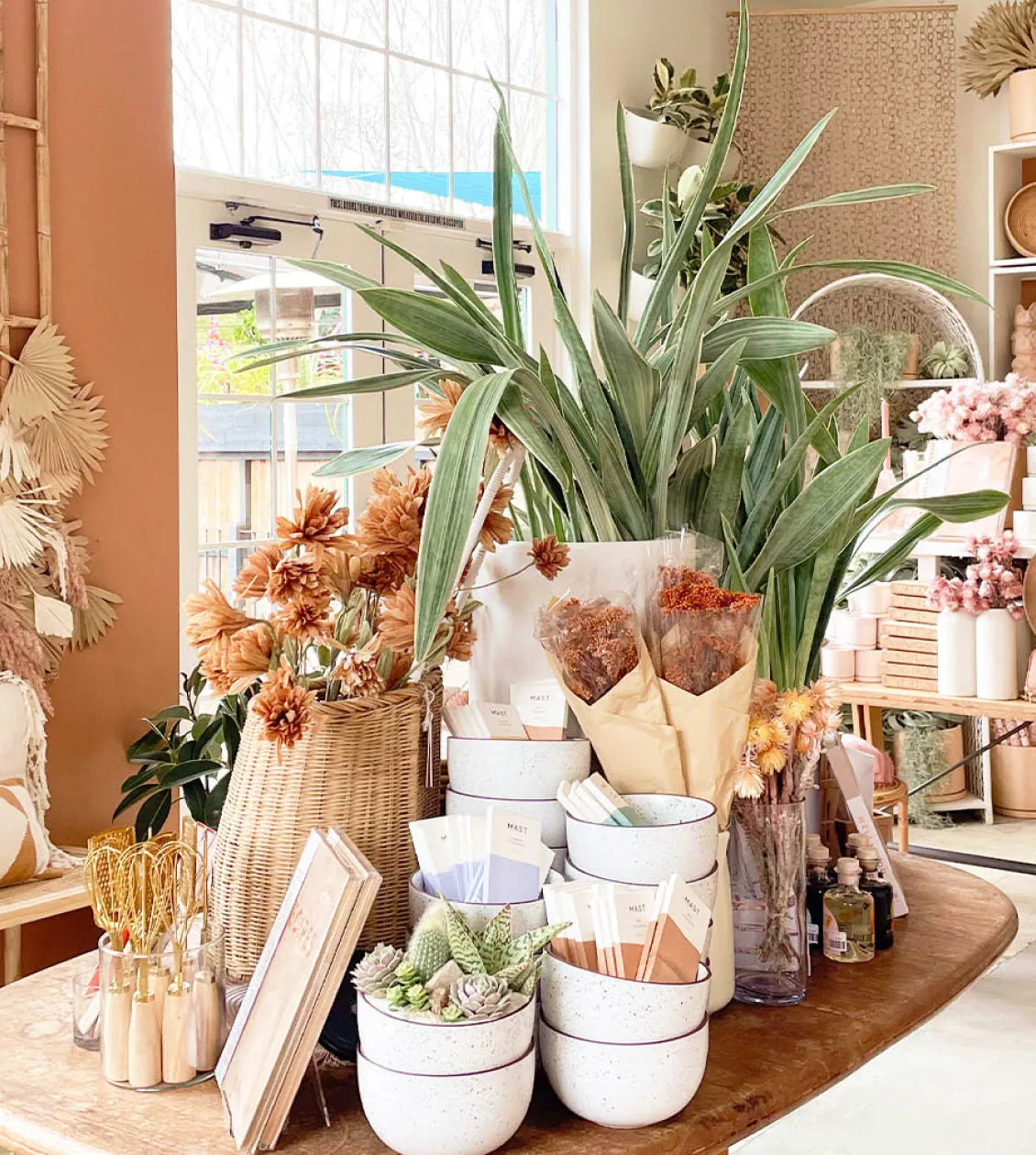 Pigment's storefront display that features a table filled with a variety of potted plants and vases, creating a vibrant and lively atmosphere. There are multiple bowls placed on the table, each containing different plants or flowers, adding to the assortment of plant life. The scene showcases a diverse collection of plants, including some placed near the window, contributing to a cozy and inviting space.