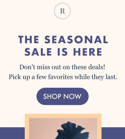 An email template with the text The Seasonal Sale is Here, a button that reads Shop Now, and a picture of a plant.