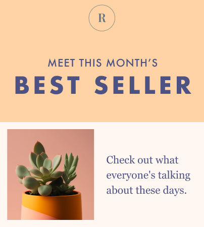An email template with the text Meet This Month's Best Seller and a picture of a potted plant.