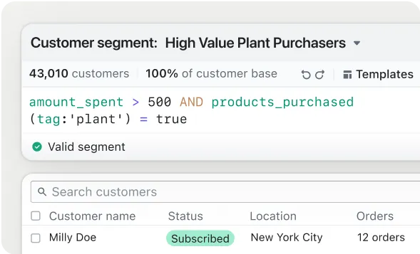 An internal user interface showing a segment of customers who are 'high value plant purchasers' with the logic for which customers fall into that group.