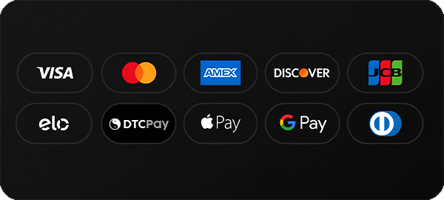 Payment methods including visa, mastercard, amex, apple pay, shop pay, and more